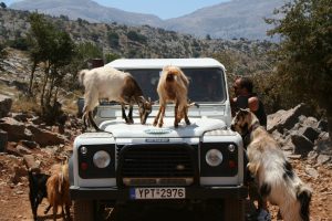 Jeep Safari - Crete