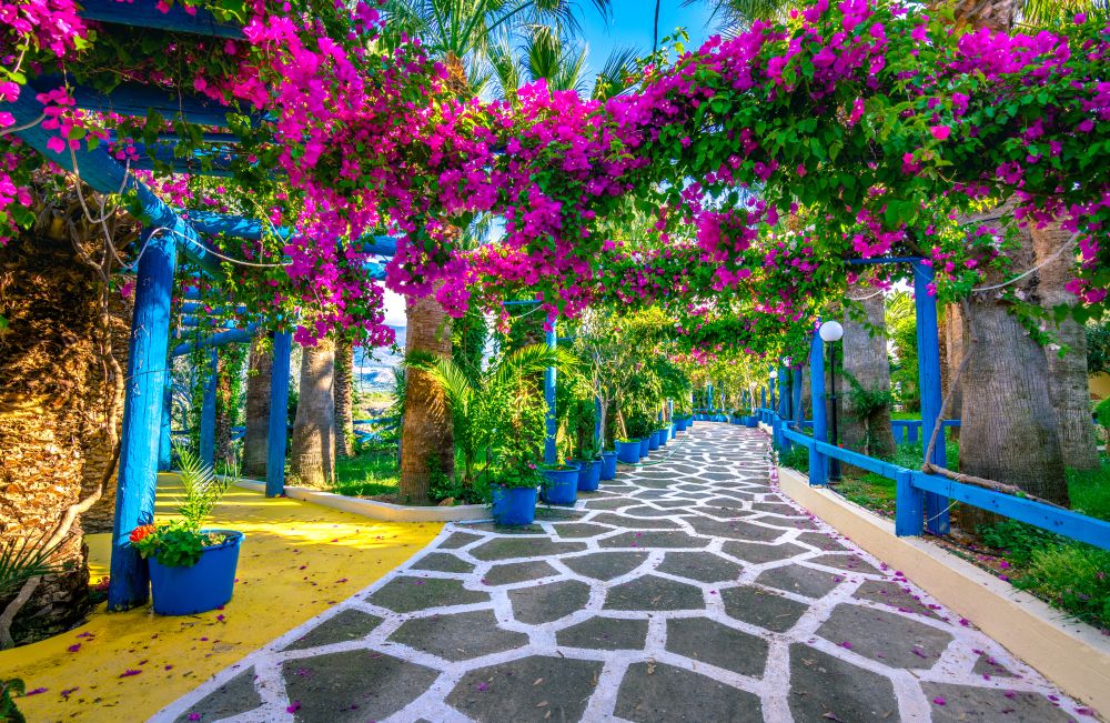 Why stay in Sissi, Crete