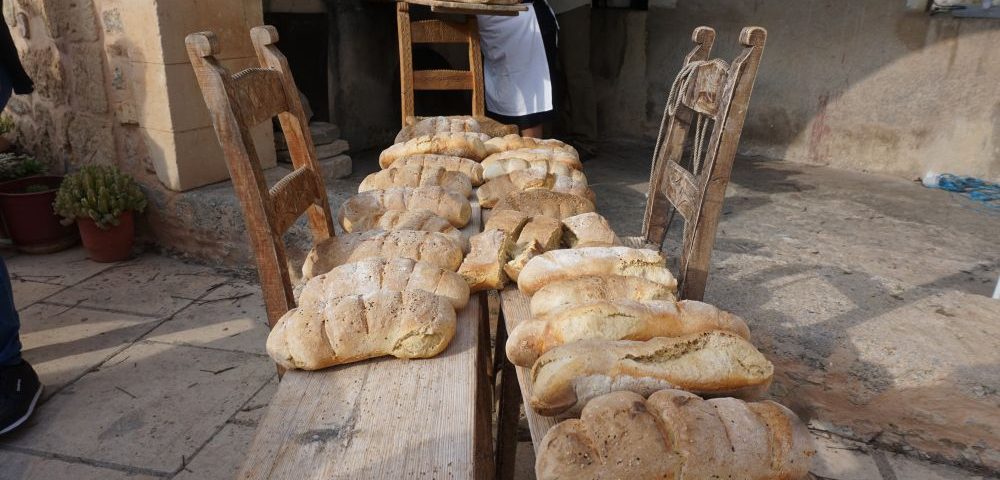 Traditional Cretan breads. Distributed to everyone who participating in bread making process. Pure filotimo!
